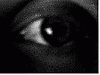 Nocturneceler