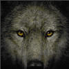 Wolf D. Arius
