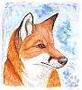 Theorangefox
