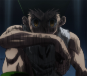 Kiba