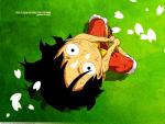 MonkeyLuffy