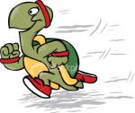 TurtleRebellion
