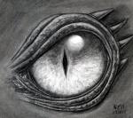 dragons4life