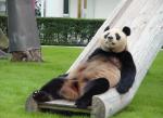Chillin