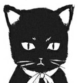 ShogunKaYo
