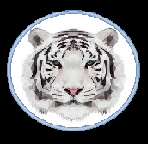 TigerClawrus
