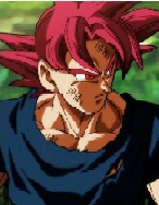 mastergousau
