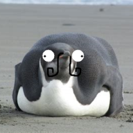 pudgiePenguin