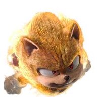 SonicTheHedgeyboy