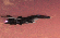 genkizen