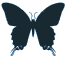 Black_butterly