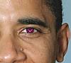 obamamania