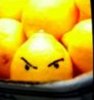 Maneating Lemon