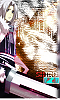 ShiroPhoenix