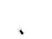 sLiVeRmx