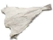 Bacalhau