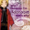 Lycoris