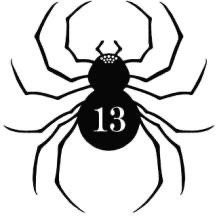 Spider#13