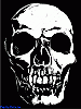 pirate_11
