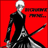 BIGHAWK