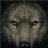 Wolf D. Arius