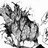 Ging Freecss