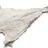 Bacalhau