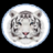 TigerClawrus
