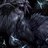 Kerien