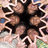 Urek Manizo