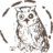 dmarkdavem