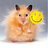 hamster