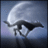 night_wolf