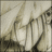 Shiranui
