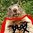 MajorMarmot