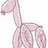 Balloonimal