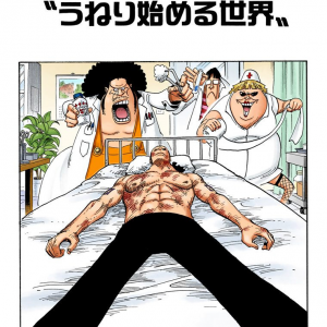 One Piece Chapter 501 Mangahelpers