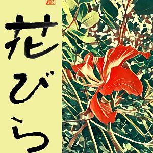 HANABIRA CALLIGRAPHY