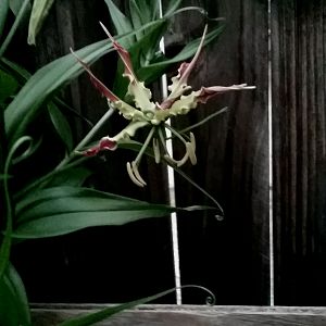 20170813_152058
