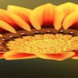 Art Contest Mh