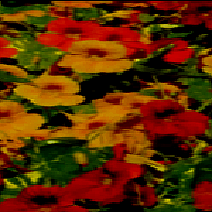 Flower Banner