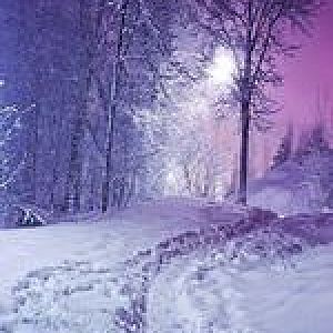 winter 1
