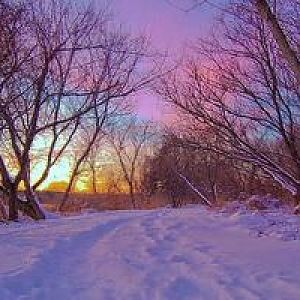 winter 2