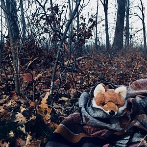 Stay warm Mister Fox