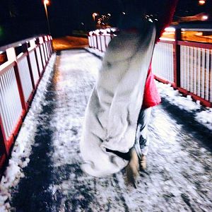Into the Freezing Cold and Beyond