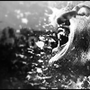 Hollywood b&w