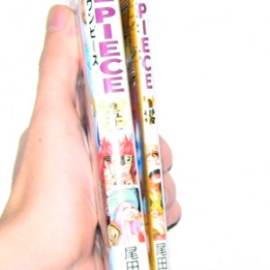 one piece manga volume