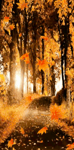 autumn set avy.gif