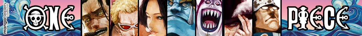 One Piece Banner (AC)