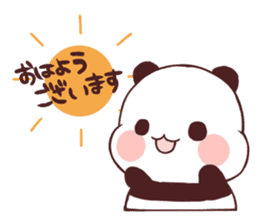 panda ohayogozaimasu